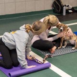 Hhs puppy yoga -111