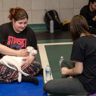 Hhs puppy yoga -115