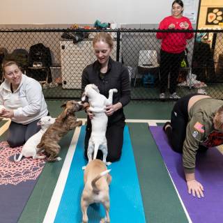 Hhs puppy yoga -15