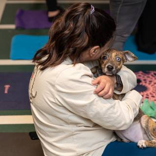 Hhs puppy yoga -19