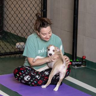 Hhs puppy yoga -23