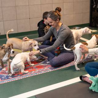 Hhs puppy yoga -29