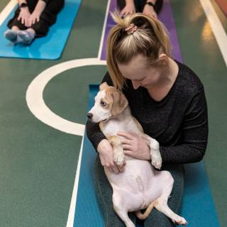 Hhs puppy yoga -39