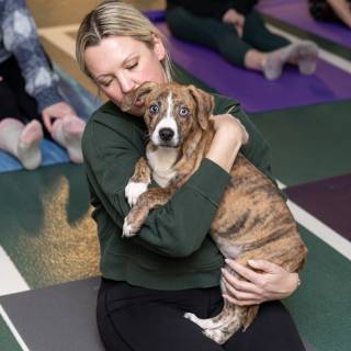 Hhs puppy yoga -41