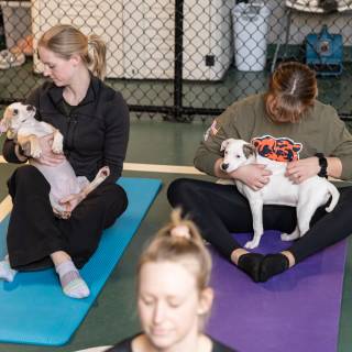 Hhs puppy yoga -42