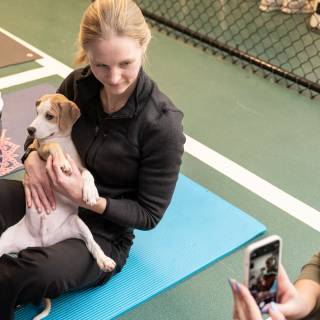 Hhs puppy yoga -43