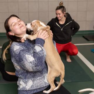 Hhs puppy yoga -44