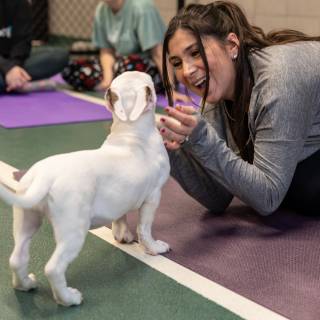 Hhs puppy yoga -47