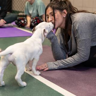 Hhs puppy yoga -48