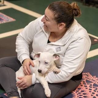 Hhs puppy yoga -53