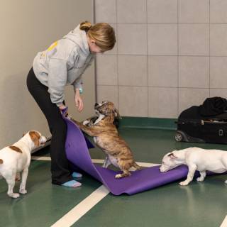 Hhs puppy yoga -54