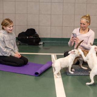 Hhs puppy yoga -58