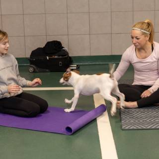 Hhs puppy yoga -59