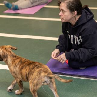 Hhs puppy yoga -60