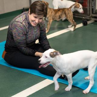 Hhs puppy yoga -62