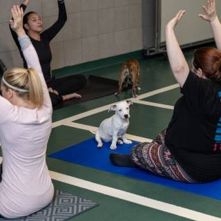 Hhs puppy yoga -64