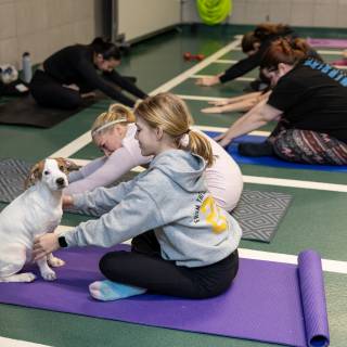 Hhs puppy yoga -66