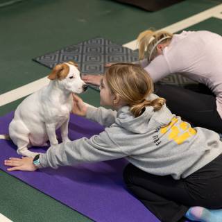 Hhs puppy yoga -67