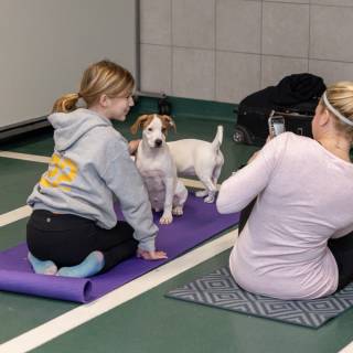 Hhs puppy yoga -68