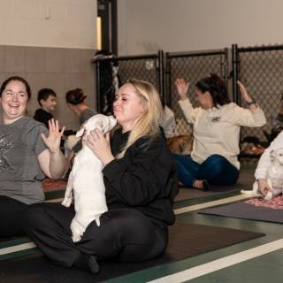 Hhs puppy yoga -6