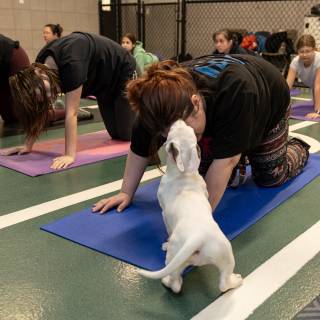 Hhs puppy yoga -70