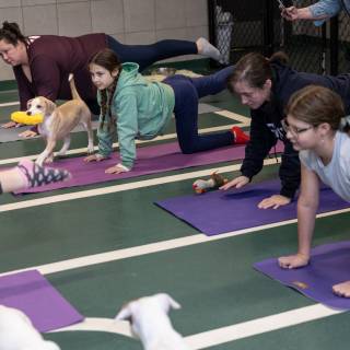 Hhs puppy yoga -71