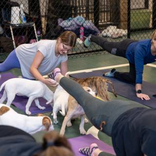 Hhs puppy yoga -75