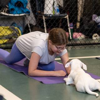 Hhs puppy yoga -76