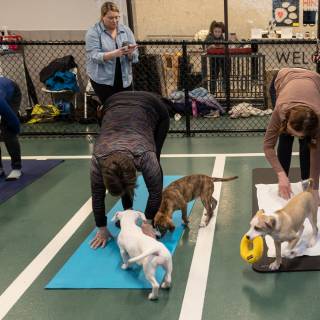 Hhs puppy yoga -77