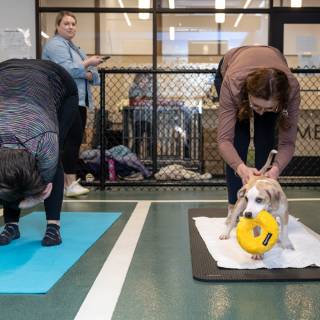 Hhs puppy yoga -78