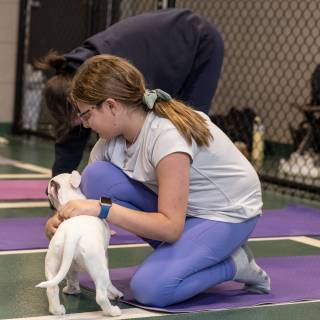 Hhs puppy yoga -79