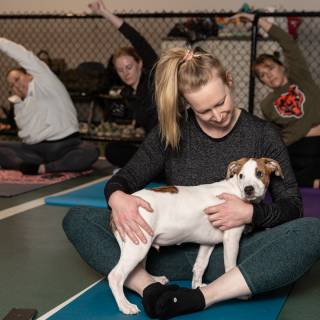 Hhs puppy yoga -7