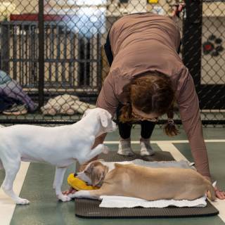 Hhs puppy yoga -83