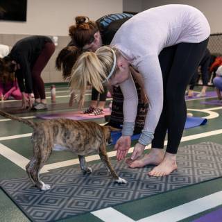 Hhs puppy yoga -84