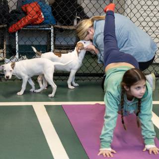 Hhs puppy yoga -86