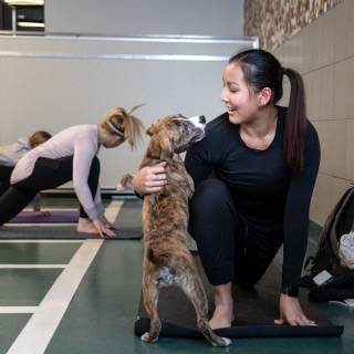 Hhs puppy yoga -87