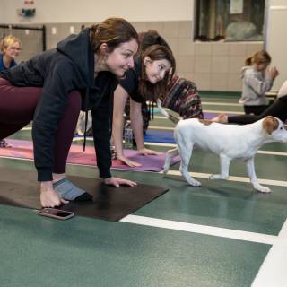 Hhs puppy yoga -88