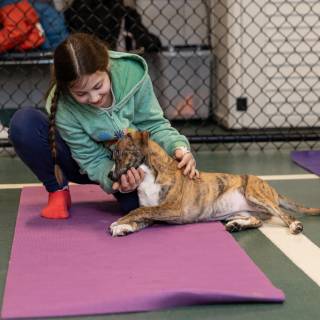 Hhs puppy yoga -91