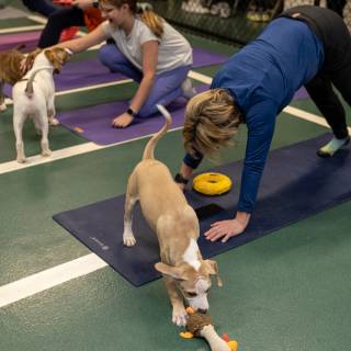 Hhs puppy yoga -94