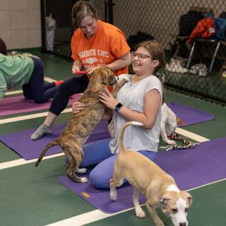 Hhs puppy yoga -96