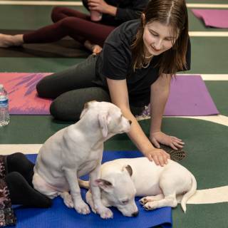 Hhs puppy yoga -97