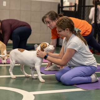 Hhs puppy yoga -98