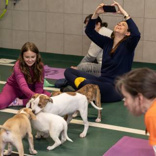 Hhs puppy yoga -99