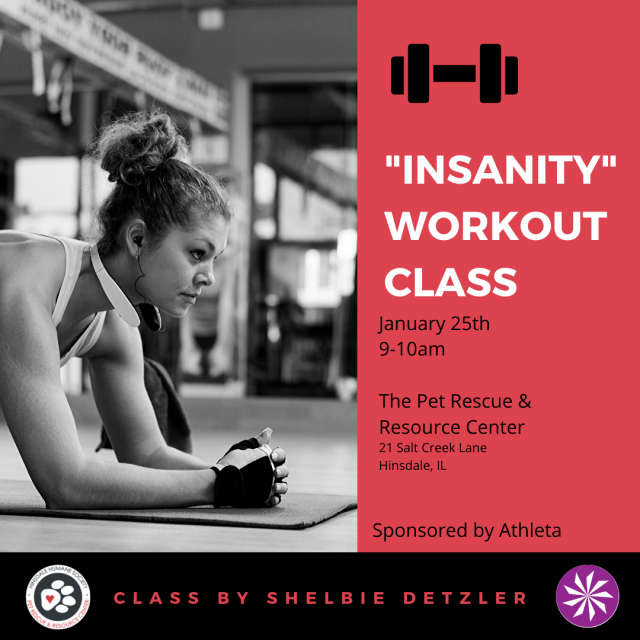 Insanity Workout Class Upcoming Events Hinsdale Humane Society