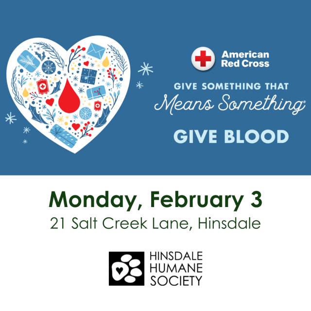 Blood drive 020325-2