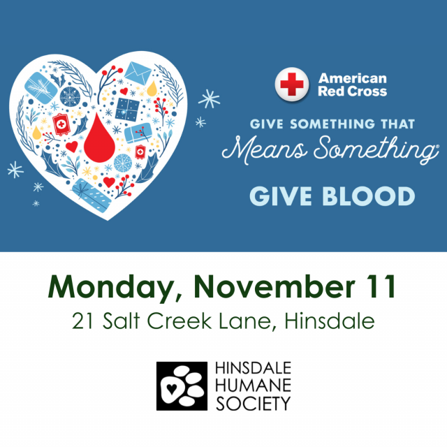 Blood drive nov24