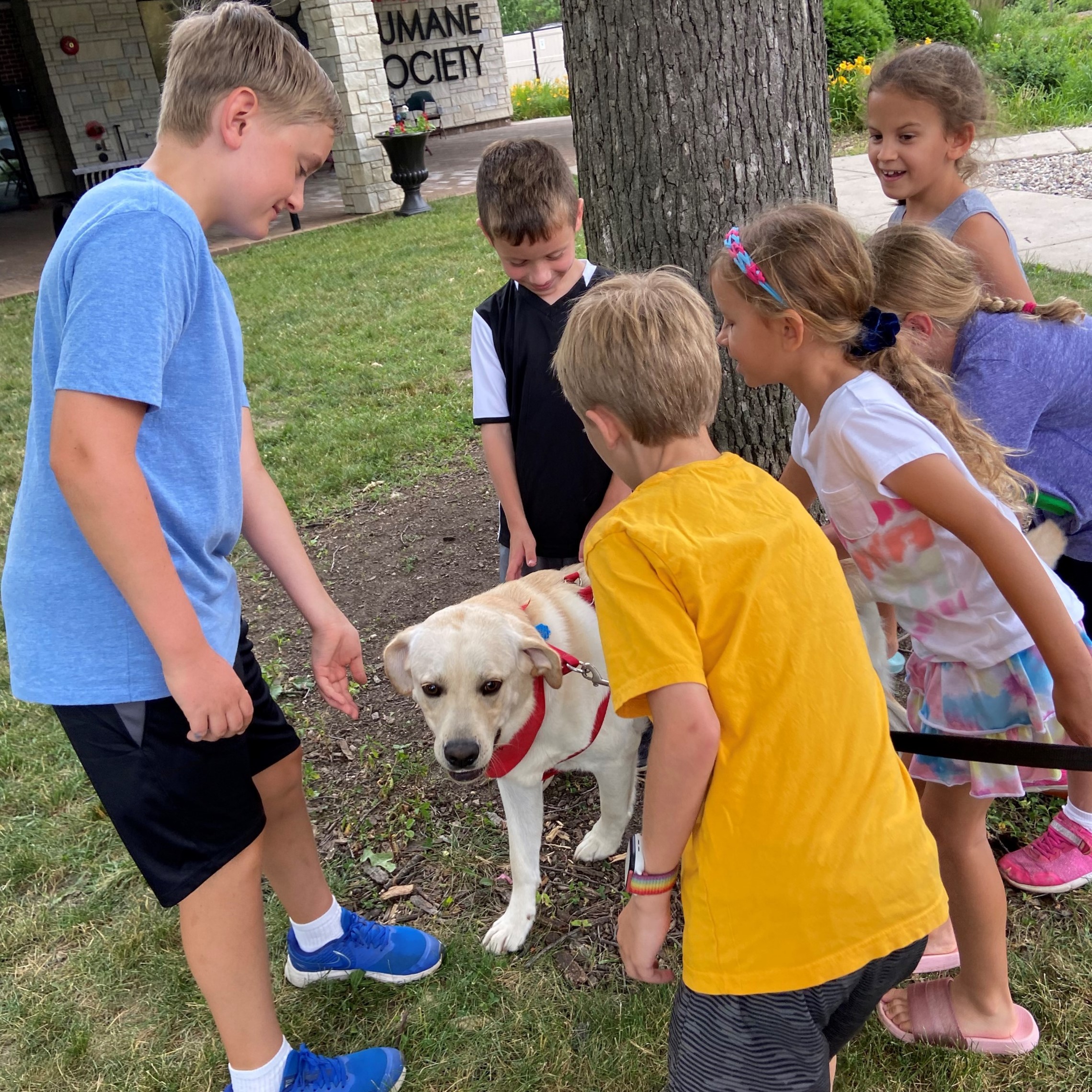 Summer Camp 2023! Hinsdale Humane Society