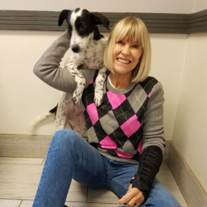 BJ Chimenti Angel Fund for Veterans and Pets | Hinsdale Humane Society