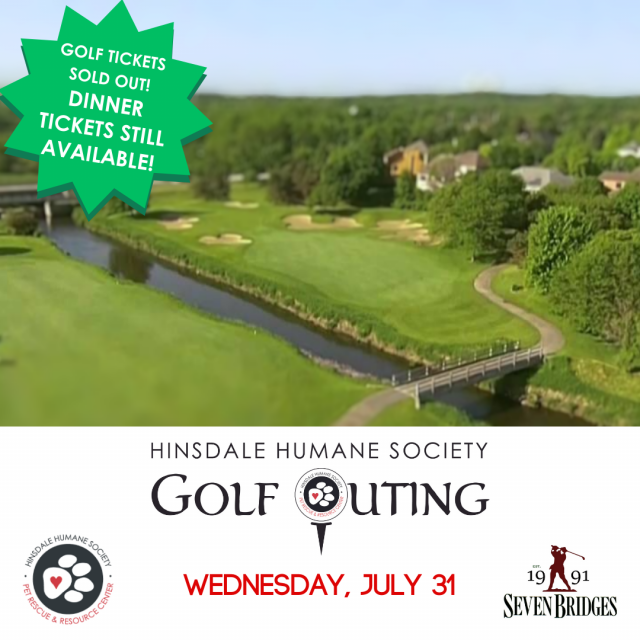 Golf outing instagram