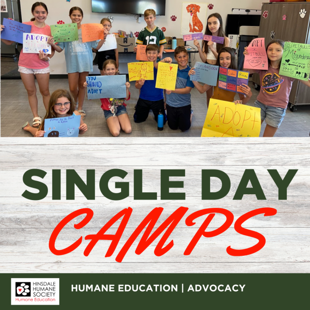 Hhs day camps 2025 1080x1080 graphic